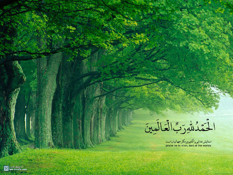 شکرگزاری؛ کلید آرامش و برکت در زندگی